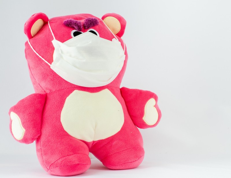 bear-5476854_1920